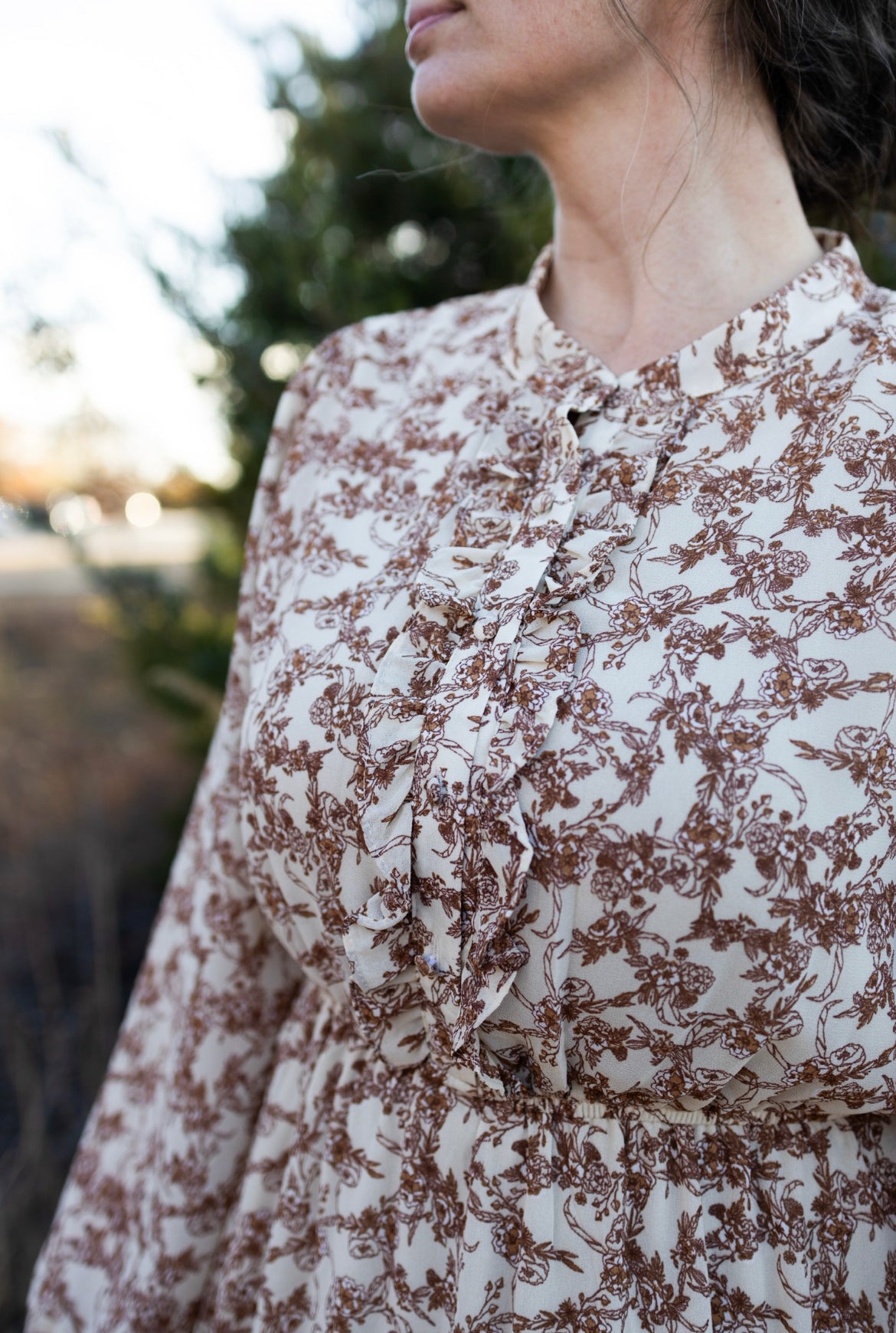 Taupe Chiffon Dress